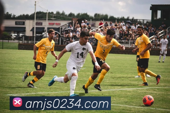 奖项2